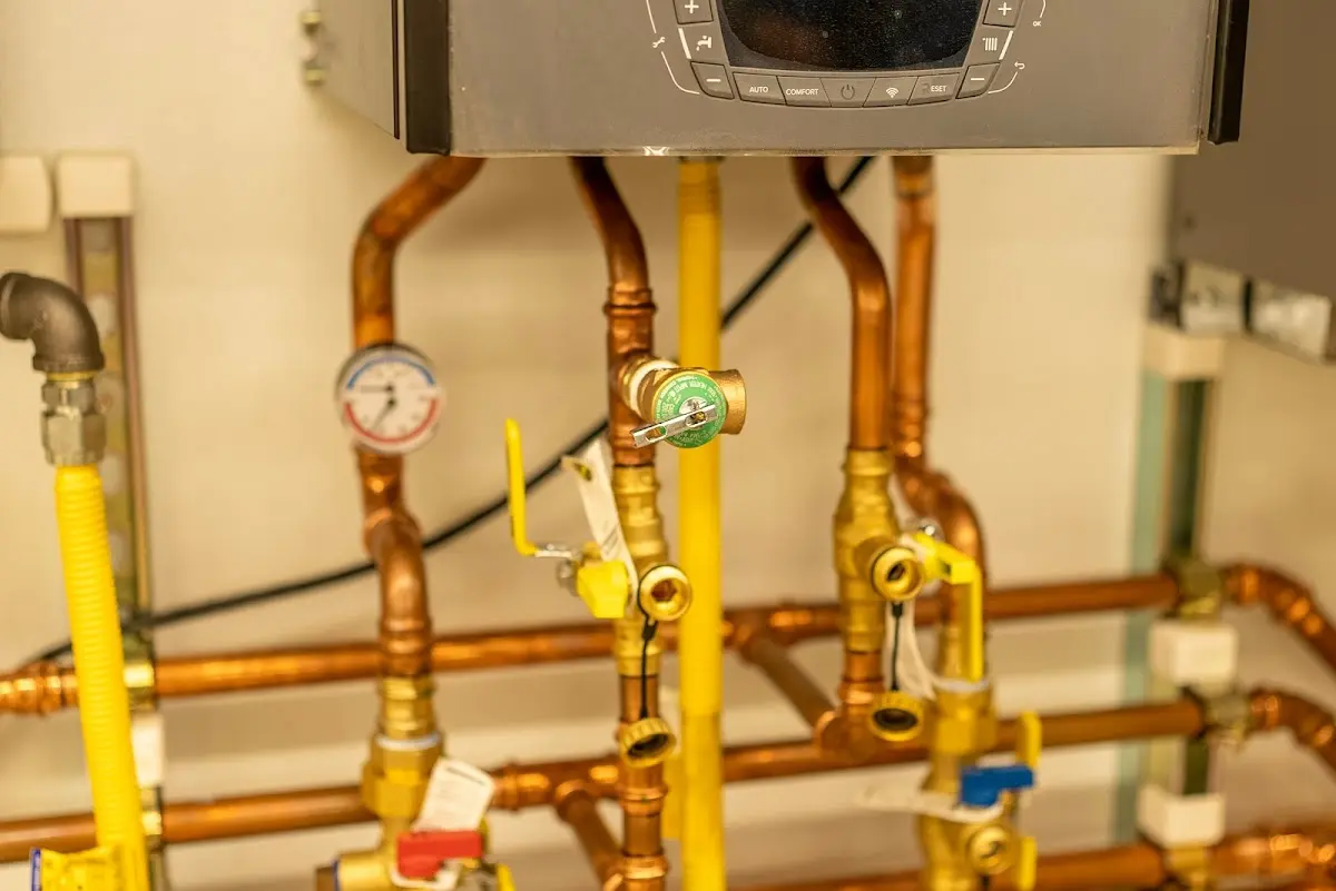 Licensed technician providing Sump Pump Repair for a homeowner in Durant